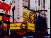 nyc-lionking.jpg