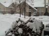 Chicago Snow Fall, January 2009