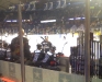The Lake Erie Monsters Bench