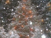 pc050012.jpg