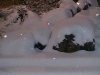 pc050034.jpg