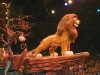 p5100027_2.jpg