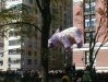 pinkhippo.jpg