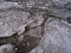 icy2.jpg