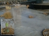 pond.jpg