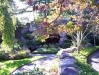 100_0297.jpg