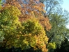 100_0307.jpg