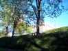 100_0323.jpg