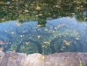 100_0326.jpg