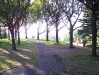 100_0337.jpg