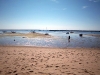 ptown021