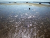 ptown022