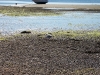 ptown031