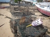 ptown_007