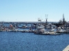 day5-011.jpg