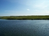 day5-031.jpg