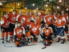 tigers-silver2008.jpg