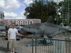 u-jaws.jpg