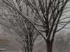 pc300108.jpg