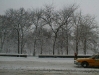 pc300124.jpg