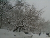 pc300126.jpg