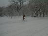 pc300127.jpg