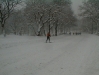 pc300128.jpg