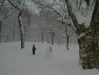 pc300129.jpg