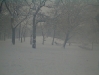 pc300130.jpg