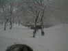 pc300132.jpg