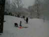 pc300134.jpg